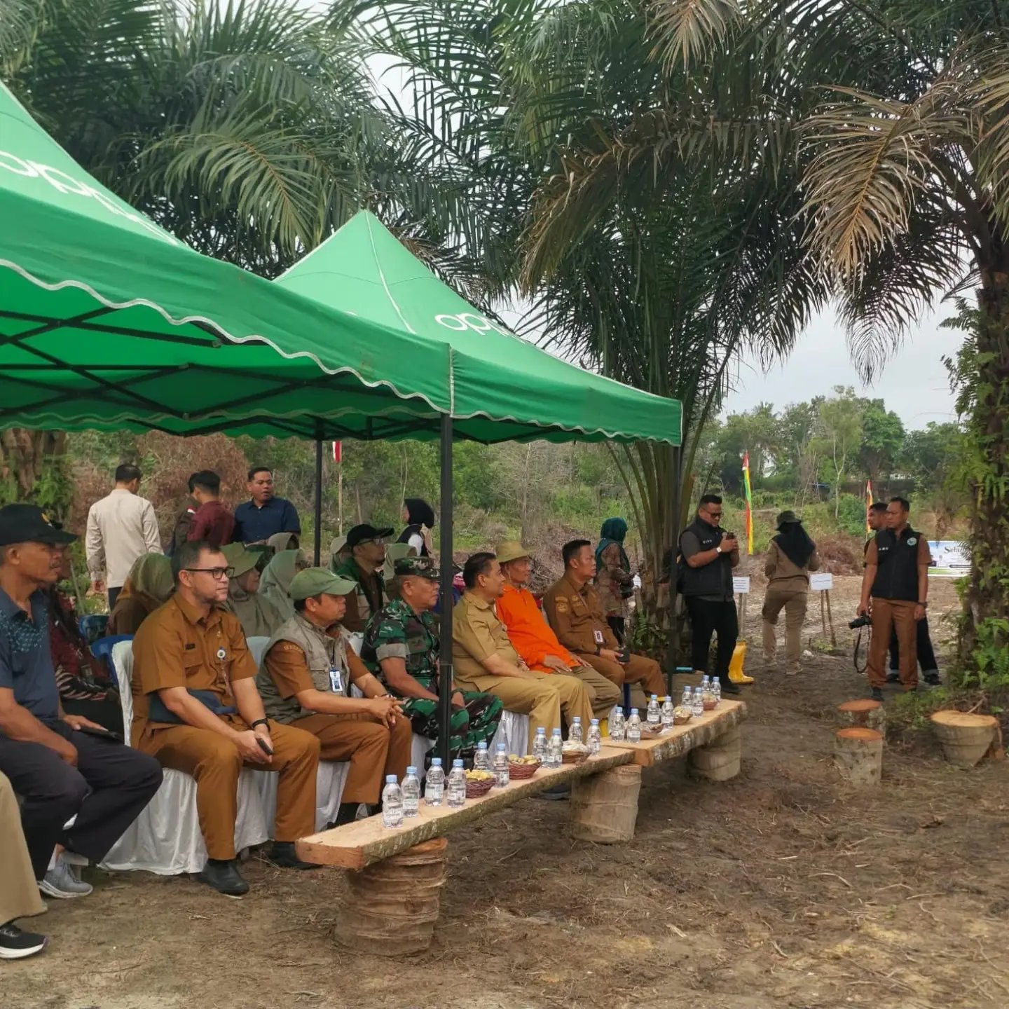 DPTPH Riau Dorong Pengembangan Padi Gogo dan Inovasi Padi Apung di Pekanbaru