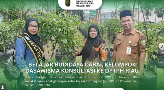 Belajar Budidaya Cabai Kelompok Dasawisma Konsultasi Ke DPTPH Riau